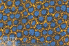 The0ry daisy style graphic silk blouseweight