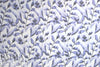 Italian blue tulips floral silk chiffon 1 yard