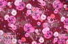 Italian silk/cotton clipped voile overprinted floral