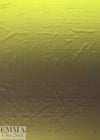 Caroline C0nstas stretch silk charmeuse - greens ombre
