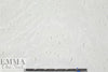 NY designer silk/cotton eyelet voile - white