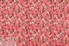 NY designer viscose matte jersey - rouge graphic