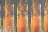 Carmen Marc Va1vo spicy bordersilk 2 yds (One Panel)