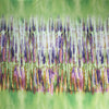 Italian 'northern lights' panel - spring green 1 yard/panel