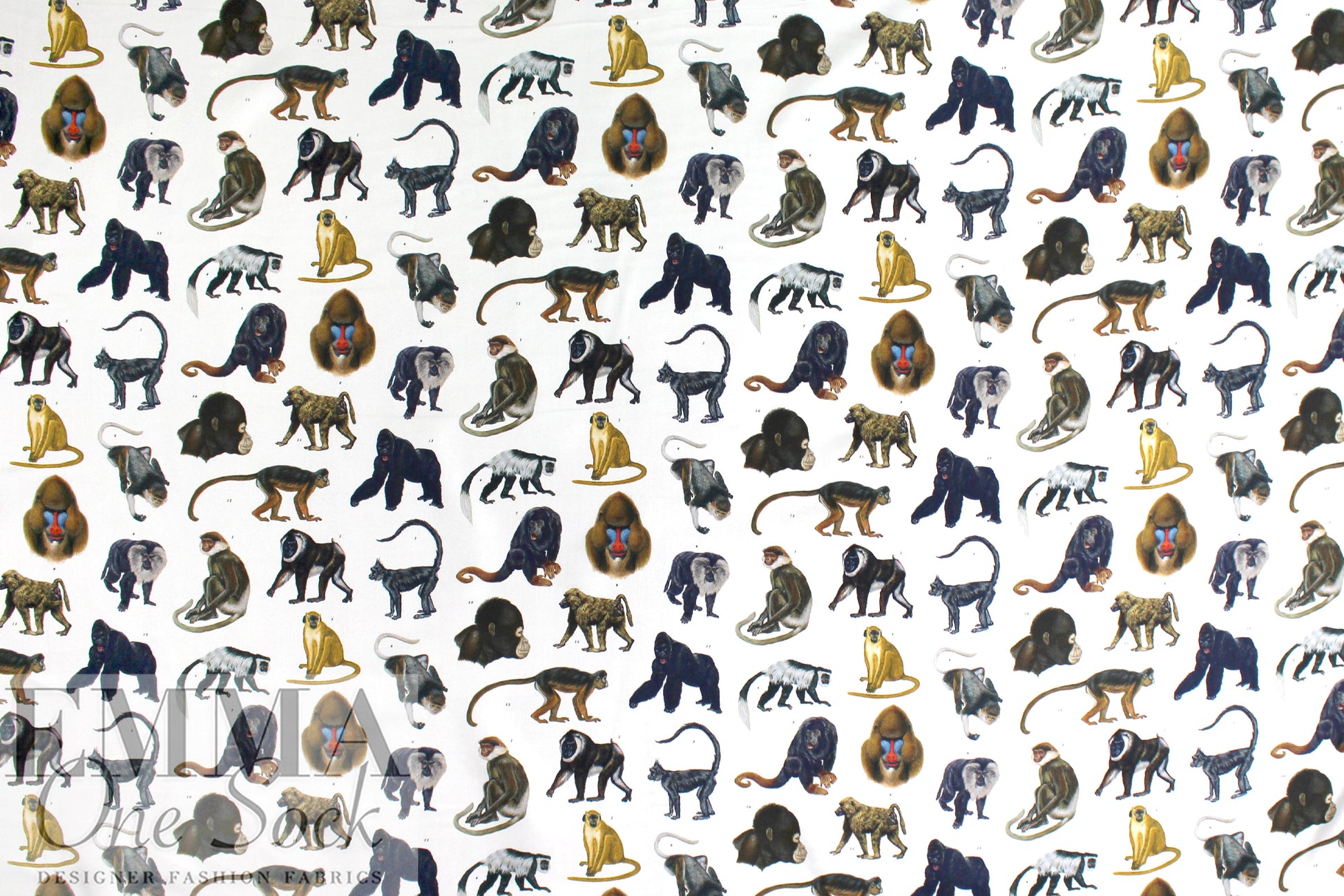 Bur6erry Italian 100% silk twill - primate collection 1.66 yd
