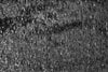 NY designer lush sparkly velvet lame' - black 1 yard