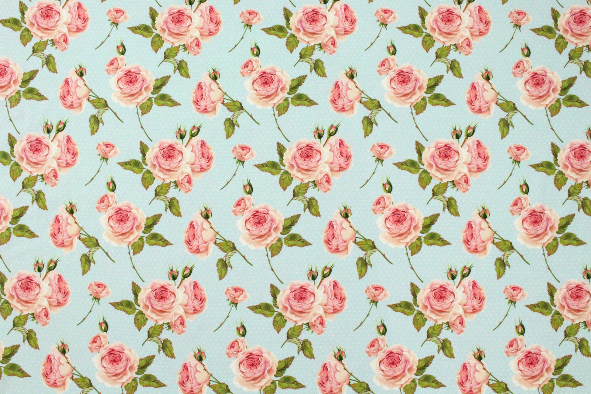 Dutch digital 'swiss dot roses' cotton/lycra knit 1.125 yds