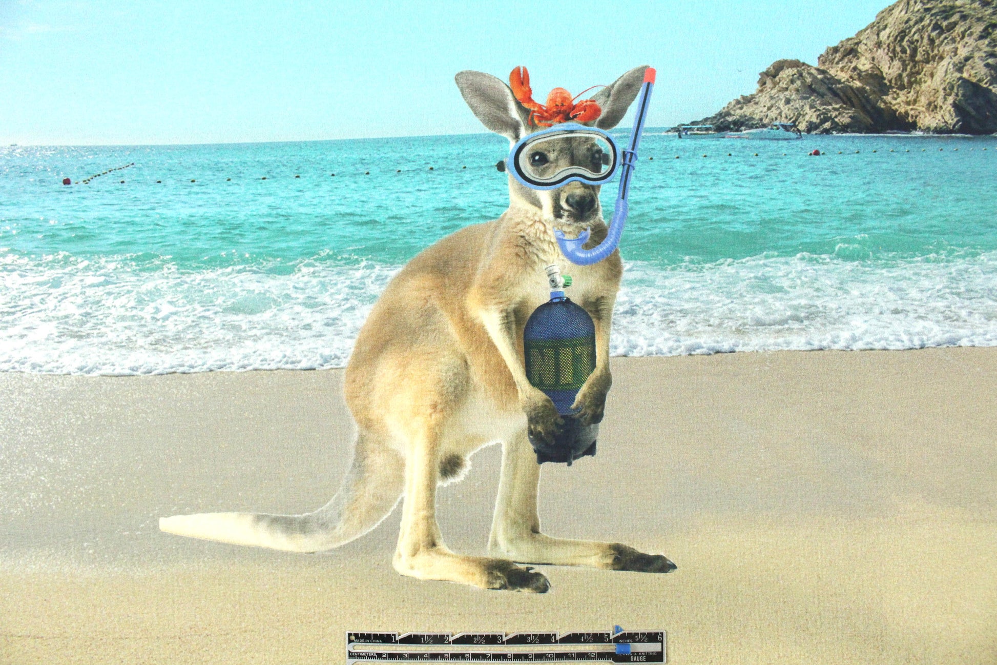 Dutch digital 'kangaroos on holiday' cotton/lycra knit panel