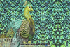 Dutch digital 'royal peacock' cotton/lycra knit panel