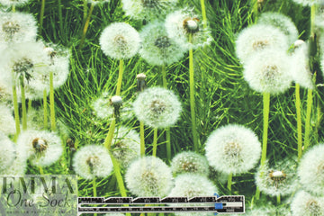 Dutch digital dandelion puffs cotton/lycra knit  1.25 yd