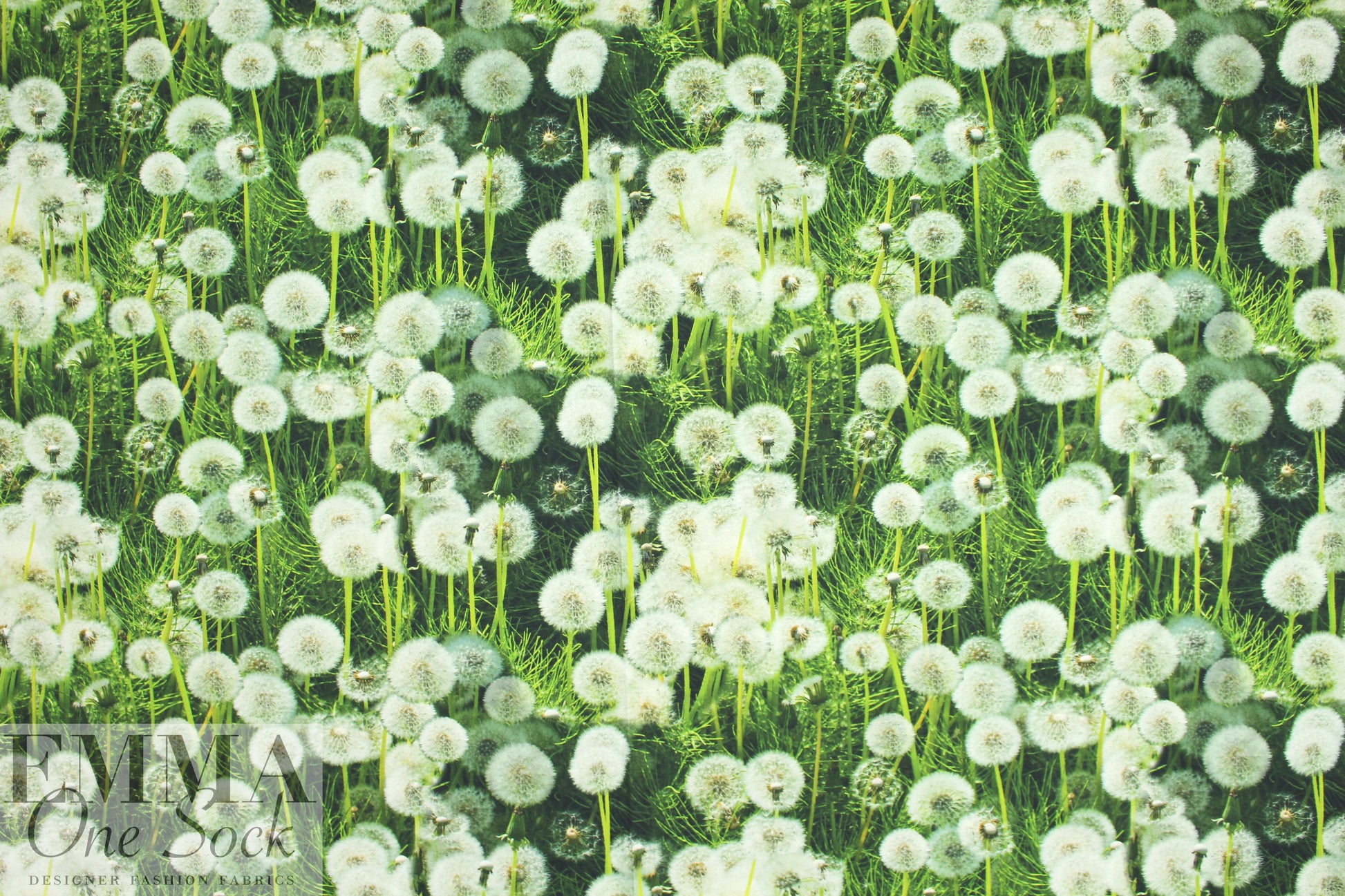 Dutch digital dandelion puffs cotton/lycra knit  1.375 yds