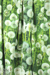Dutch digital dandelion puffs cotton/lycra knit  1.875 yds