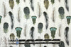 Dutch Oeko-Tex cotton poplin - feathers