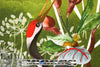 Dutch digital 'aviary paradise' knit Oeko-Tex certified panel