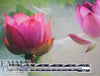 Dutch digital 'misty lotus' knit Oeko-Tex certified panel  1.66 yds