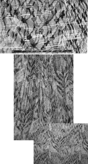 crosshatch lace design stretch lace printed knit 1.5 yd