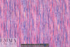 NY designer pink rainwall all-cotton french terry knit