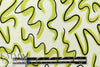 limeade graffiti bamboo/cotton Oeko-Tex French terry knit 1 yard