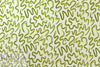 limeade graffiti bamboo/cotton Oeko-Tex French terry knit 1 yard