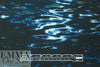 Italian designer 'night swimming' viscose woven .625 yds