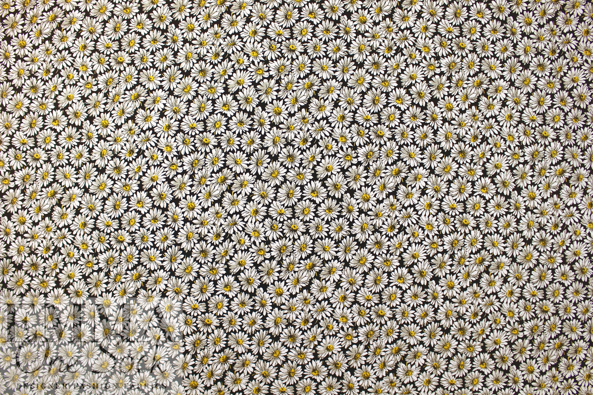 'countless daisies' stretch cotton twill .625 yds