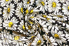 'countless daisies' stretch cotton twill .625 yds