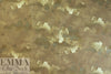 Italian abstract design cotton stretch velour 3.5 yds