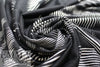 Italian vector curves graphic viscose/spandex knit 1.75 yds