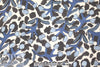 Mi11y blue/bark blooming graphic viscose crepe woven
