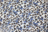 Mi11y blue/bark blooming graphic viscose crepe woven