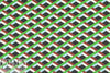 Italian 3-D graphic cotton voile