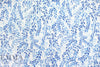 NY designer blue leaf silhouette cotton/silk voile