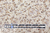 'blossom rain' polyester crepe woven - neutrals 1.875 yd